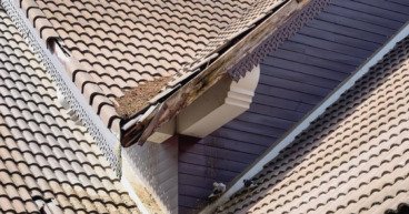 How Well Did Your Roof Survive the Winter?