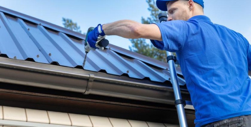 Why Roof Maintenance is Key to Keeping Pests Out of Your Home