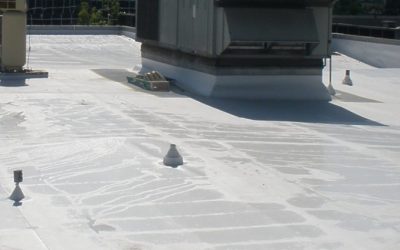 Importance of An Expert Commercial Roof Inspection