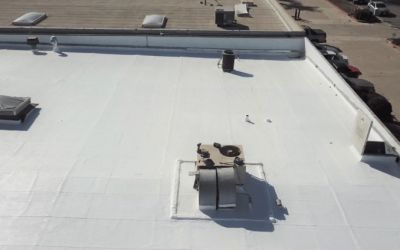 10 Cases for Coating a Commercial Roof