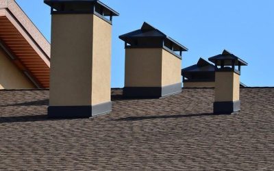 Take Better Care of Your Roof by Taking Care of Your Yard