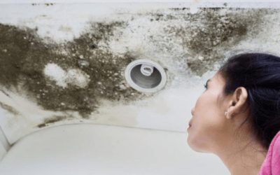 Does Renters Insurance Cover Damage from Roof Leaks?