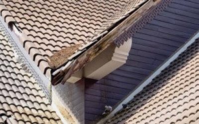 How Well Did Your Roof Survive the Winter?