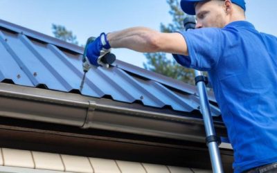 Why Roof Maintenance is Key to Keeping Pests Out of Your Home