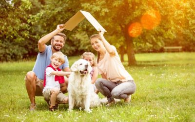 Which Roofing Materials are Right for Your Home